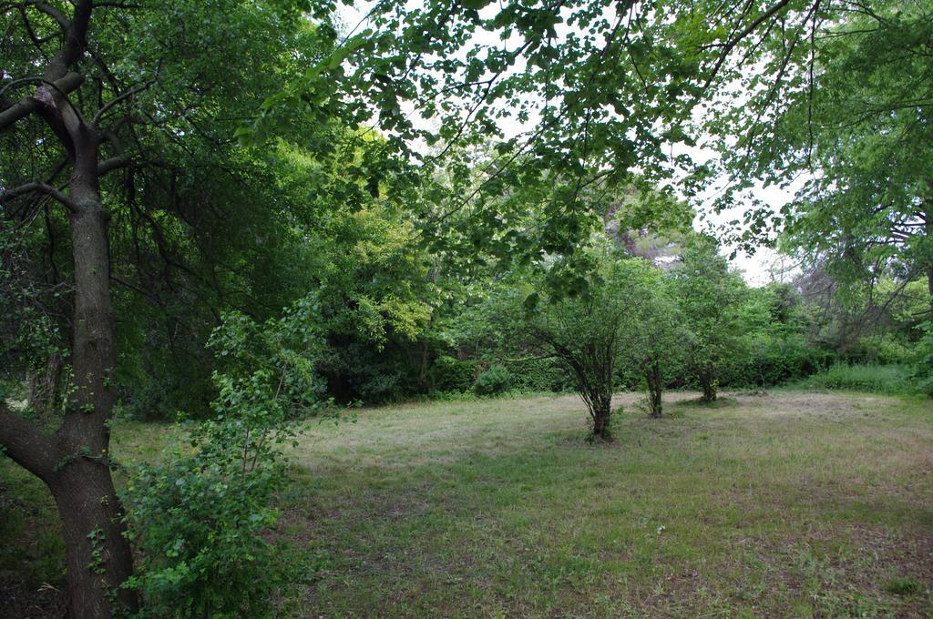 Chateau Le Vergel Authenac Ginestas Kamer foto