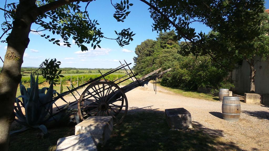 Chateau Le Vergel Authenac Ginestas Kamer foto