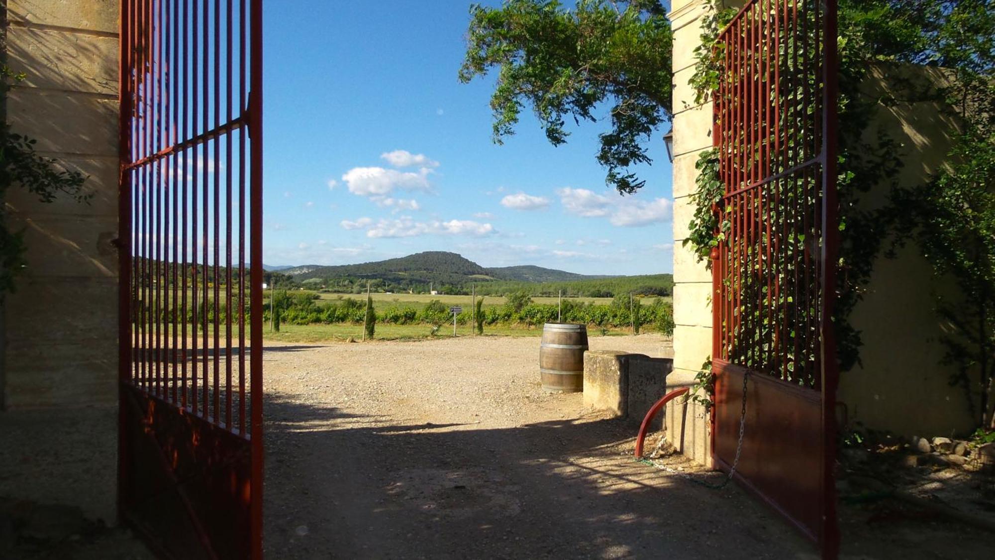 Chateau Le Vergel Authenac Ginestas Kamer foto